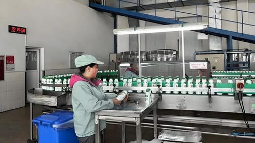 鄭州有娃哈哈工廠嗎